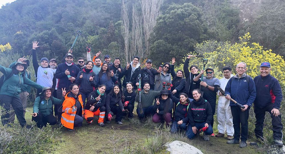Reforestacion-SAAM-Terminals