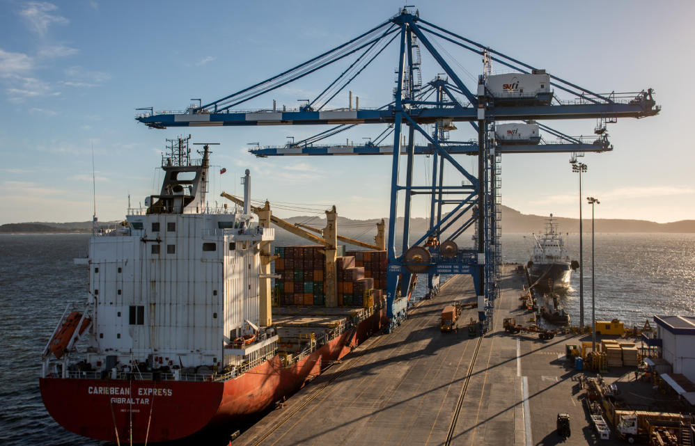 svti-ends-2024-with-a-43-increase-in-transfers-driven-by-bulk-cargo-and-export-traffic